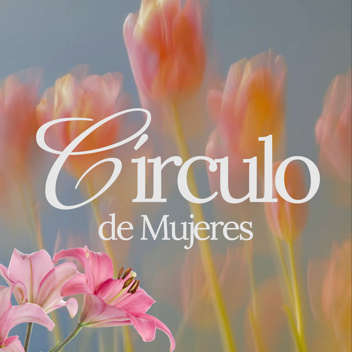 Circulo Privado - Mujeres en Expansión